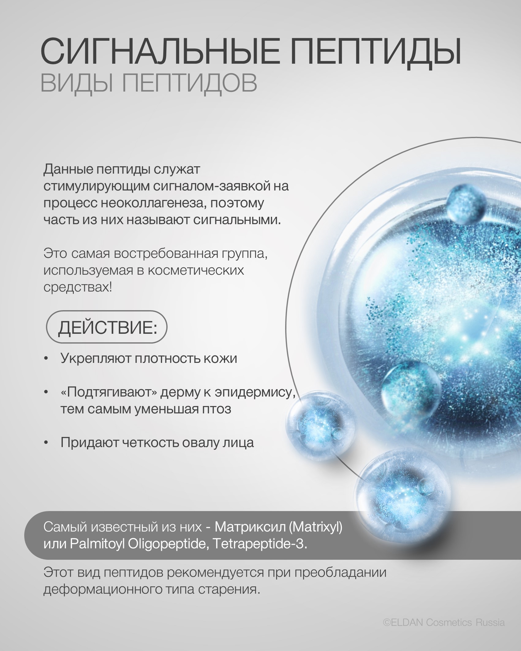 Пост Виды Пептидов 3.jpg Пост Виды Пептидов 3.jpg